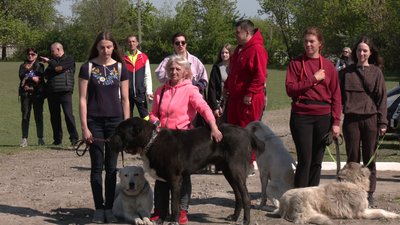 300 учасників і 70 порід. У Кропивницькому відбулася Всеукраїнська виставка собак 300 учасників і 70 порід. У Кропивницькому відбулася Всеукраїнська виставка собак