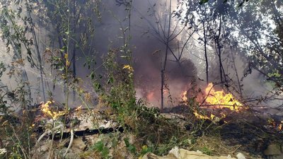 За добу на Дніпропетровщині в природних екосистемах виникло 64 пожежі на загальній площі 45 га