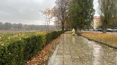 Якою буде погода на Закарпатті 26 жовтня
