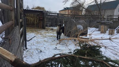 зоопарк зоопарк