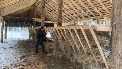На Житомирщині батько та син взимку підгодовують диких тварин у лісі На Житомирщині батько та син взимку підгодовують диких тварин у лісі