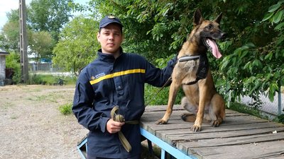 "Працює з порохом, з пластидом, з тротилом". На Запоріжжі вівчарка допомагає шукати боєприпаси