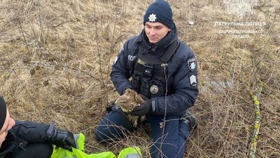 Обстріл Нікопольщини, вибух у місті. Головні новини Дніпра та області 28 січня Обстріл Нікопольщини, вибух у місті. Головні новини Дніпра та області 28 січня