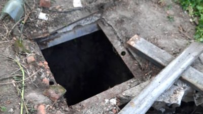 Колодязь, в яке впало козеня