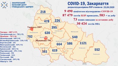 На Закарпатті за добу виявили 73 нові випадки коронавірусу