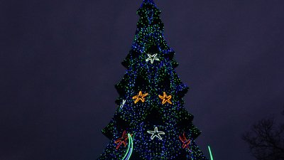 В Одесі засяяла головна ялинка міста В Одесі засяяла головна ялинка міста