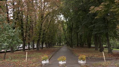Очікують невеликі дощі: прогноз погоди на 4-6 жовтня на Рівненщині