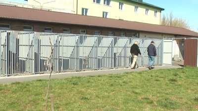 Американець Дейл Хеффрон волонтерить у Вінниці: допомагає тваринам, переселенцям та ЗСУ