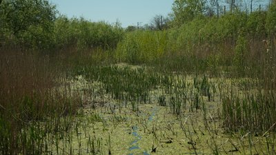 Каховське водосховище після підриву
