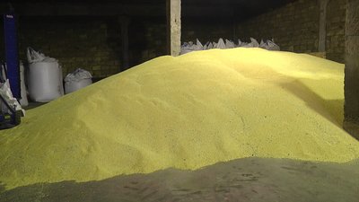 Неврожай на Миколаївщині: обсяги збору врожаю зменшились на 24% у 2020 році Неврожай на Миколаївщині: обсяги збору врожаю зменшились на 24% у 2020 році