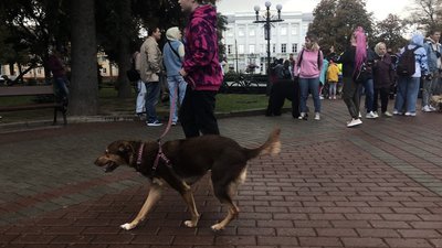 «Захист слабких – справа сильних»: у Чернігові пройшов марш за тварин