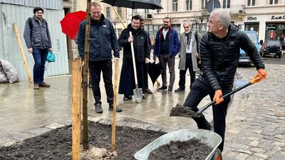 Тімоті Снайдер посадив дерево на площі Катедральній у Львові Тімоті Снайдер посадив дерево на площі Катедральній у Львові
