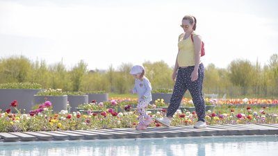На Буковині висадили шість мільйонів квітів. СУСПІЛЬНЕ | ВІДЕОНОВИНИ