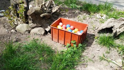 зоопарк РІвне зоопарк РІвне