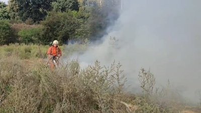 Горіло сміття та суха рослинність: на Сумщині за добу сталися три пожежі