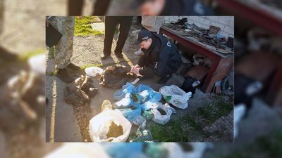 Поліція вилучає наркотики Поліція вилучає наркотики