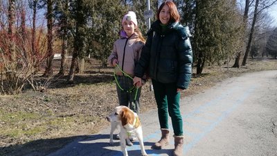 Втікаючи з Маріуполя до Тернополя, взяли зі собою бездомного собаку: історії переселенців Втікаючи з Маріуполя до Тернополя, взяли зі собою бездомного собаку: історії переселенців