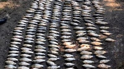 Наловив риби на 800 тисяч гривень. На Хмельниччині судитимуть рибалку