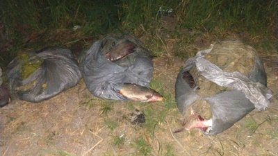На Одещині при затримці 7 чоловіків, підозрюваних у браконьєрстві, травмувався прикордонник На Одещині при затримці 7 чоловіків, підозрюваних у браконьєрстві, травмувався прикордонник