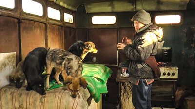 У Кіровоградській області в притулку для бездомних тварин нічим годувати собак