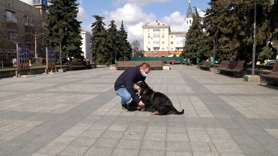 У зоні ООС його супроводжував пес Арчі: АТОвець з Житомирщини Микола Ніколаєв У зоні ООС його супроводжував пес Арчі: АТОвець з Житомирщини Микола Ніколаєв