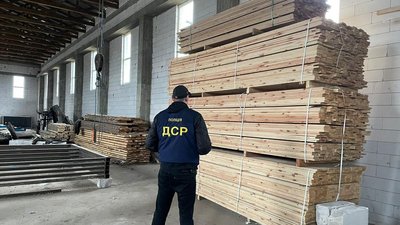 На Житомирщині припинили діяльність угруповання, яке займалося незаконними вирубками та лісопереробкою