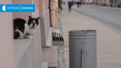 Карантин у Чернівцях Карантин у Чернівцях