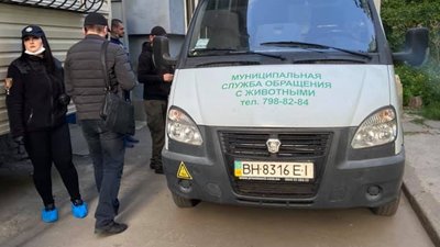 Одеситка тримала в неприйнятних умовах 15 собак, розпочали розслідування Одеситка тримала в неприйнятних умовах 15 собак, розпочали розслідування