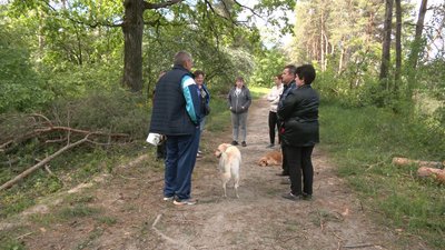 У черкаському парку невідомі вирубали молоді дерева