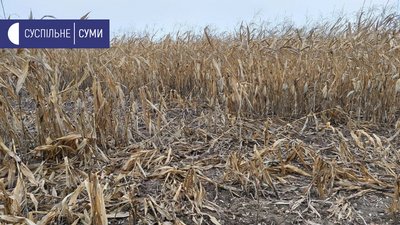 На Сумщині підозрюваного у браконьєрстві призначили єгерем На Сумщині підозрюваного у браконьєрстві призначили єгерем