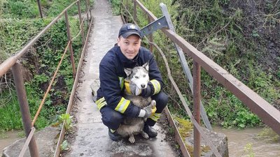 ФОТО: ДСНС Закарпатської області