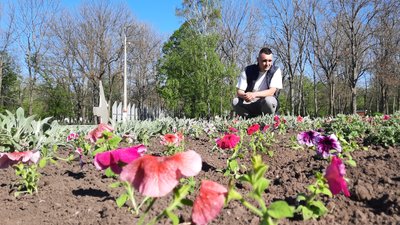 Кропивничанин висадив 300 петуній у пам'ять про загиблих українців