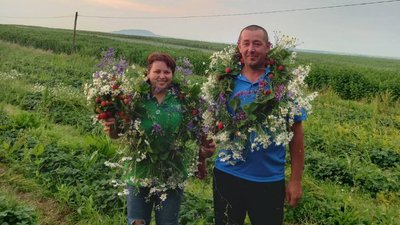 полуниця, Ірина Плетюк, фермерка, тернопільщина, поради полуниця, Ірина Плетюк, фермерка, тернопільщина, поради