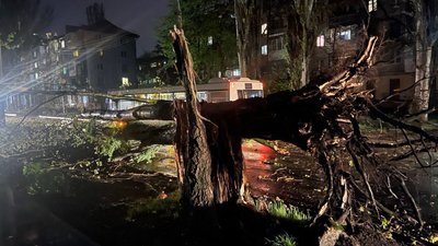 Негода у Запоріжжі: у місті повалено 50 дерев Негода у Запоріжжі: у місті повалено 50 дерев