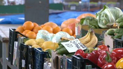 Держспоживслужба на Запоріжжі не допустила до реалізації 17 тонн "нітратних" овочів та фруктів