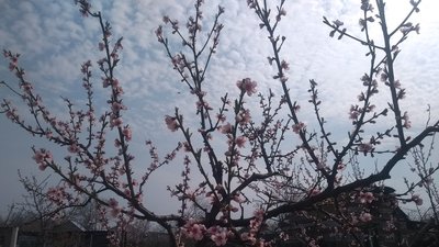 На Миколаївщині очікується похолодання