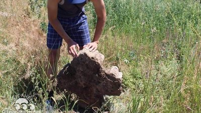 На Дніпропетровщині ймовірно виявили кам`яний хрест, про який писав історик Дмитро Яворницький