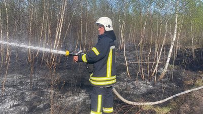 пожежа у Ковельському районі, пожежа в Камінь-Каширському районі, пожежа в Луцькому районі
