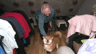 В Івано-Франківську бар переобладнали під прихисток для переселенців В Івано-Франківську бар переобладнали під прихисток для переселенців