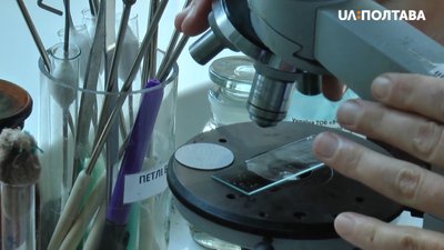 В лабораторії досліджують вірус В лабораторії досліджують вірус