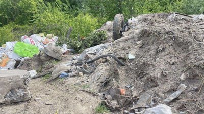 Незаконне сміттєзвалище в Голосіївському районі Києва виявили екологи