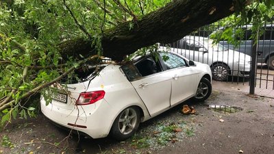 Повалені дерева, пошкоджені автомобілі – рятувальники долали наслідки негоди у Херсоні