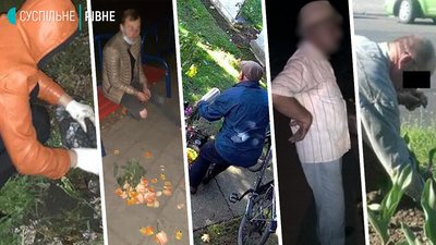 Квітковий крадій – у рівненському СІЗО. Історії подібних злочинів в Україні і світі