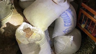 На Рівненщині вилучили найбільшу цьогорічну партію бурштину. Що про це відомо