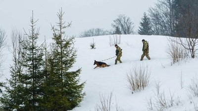 На Закарпатті працівники ДСНС і прикордонники рятують 7 людей, які через сніг застрягли у горах