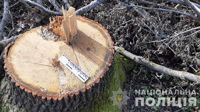 лісоруби лісоруби