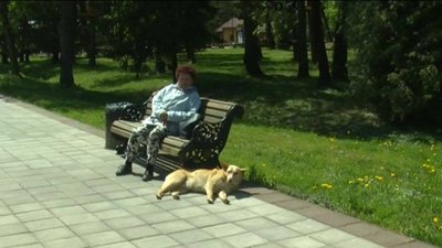 У Луцьку дезинфікуватимуть парки від кліщів, біолог каже: це - недоцільно