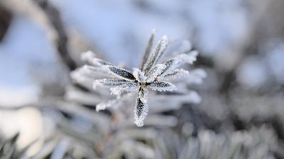 На Прикарпатті попереджають про заморозки