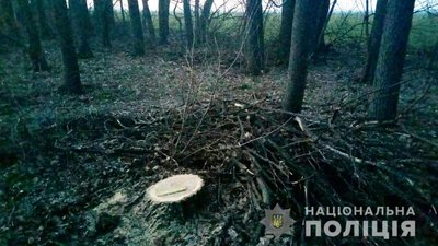 На Черкащині поліцейські припинили незаконну вирубку деревини