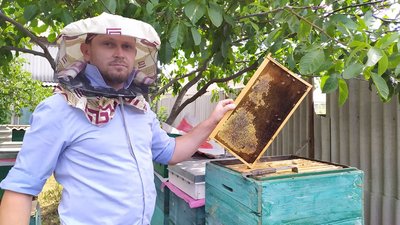 На Миколаївщині знизилася медопродуктивність